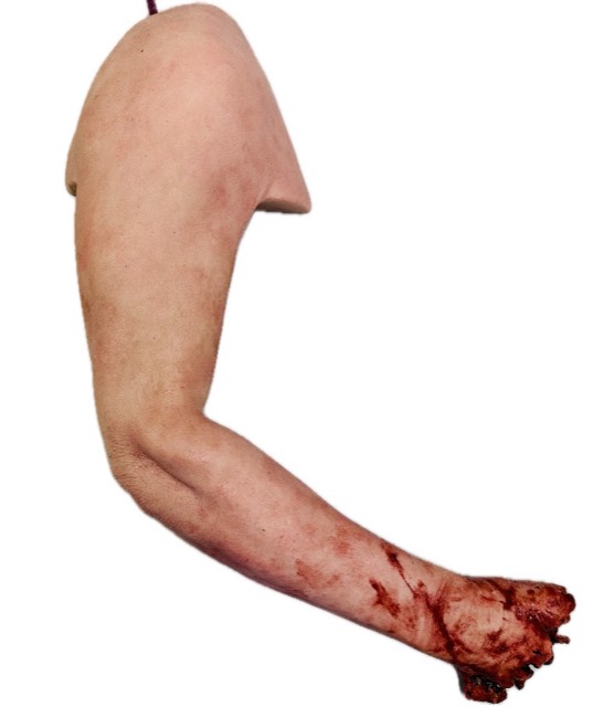 Symulatory ran — zdjęcie